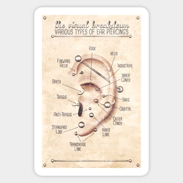 Vintage-Style Ear Piercing Infographic Chart Sticker by Jarrodjvandenberg